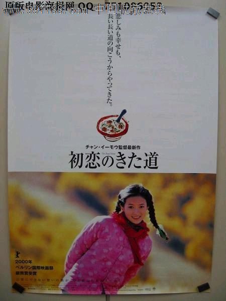 奥尔良大学金融文凭证书